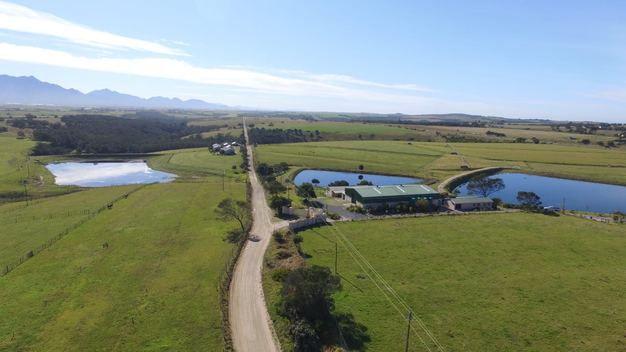Photo 12 of Farm for Sale in Glentana