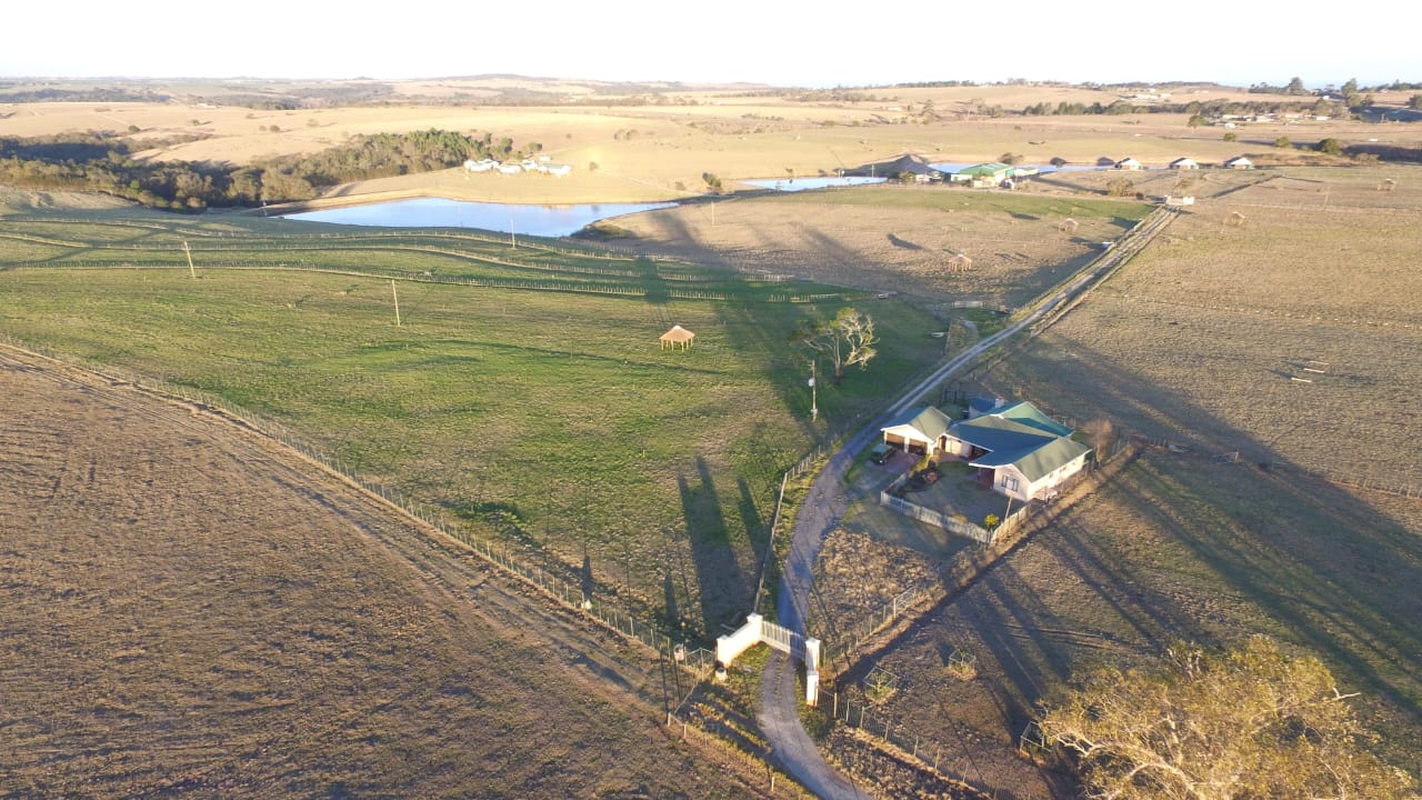 Photo 26 of Farm for Sale in Glentana