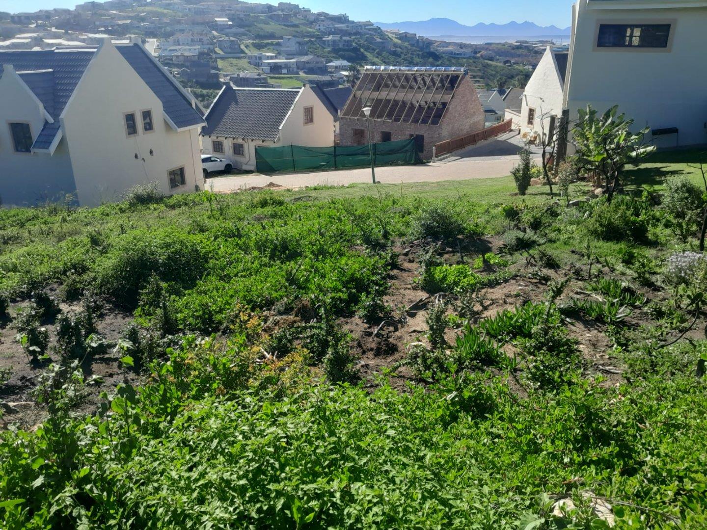 Photo 12 of Vacant Land / Plot for Sale in Vakansieplaas