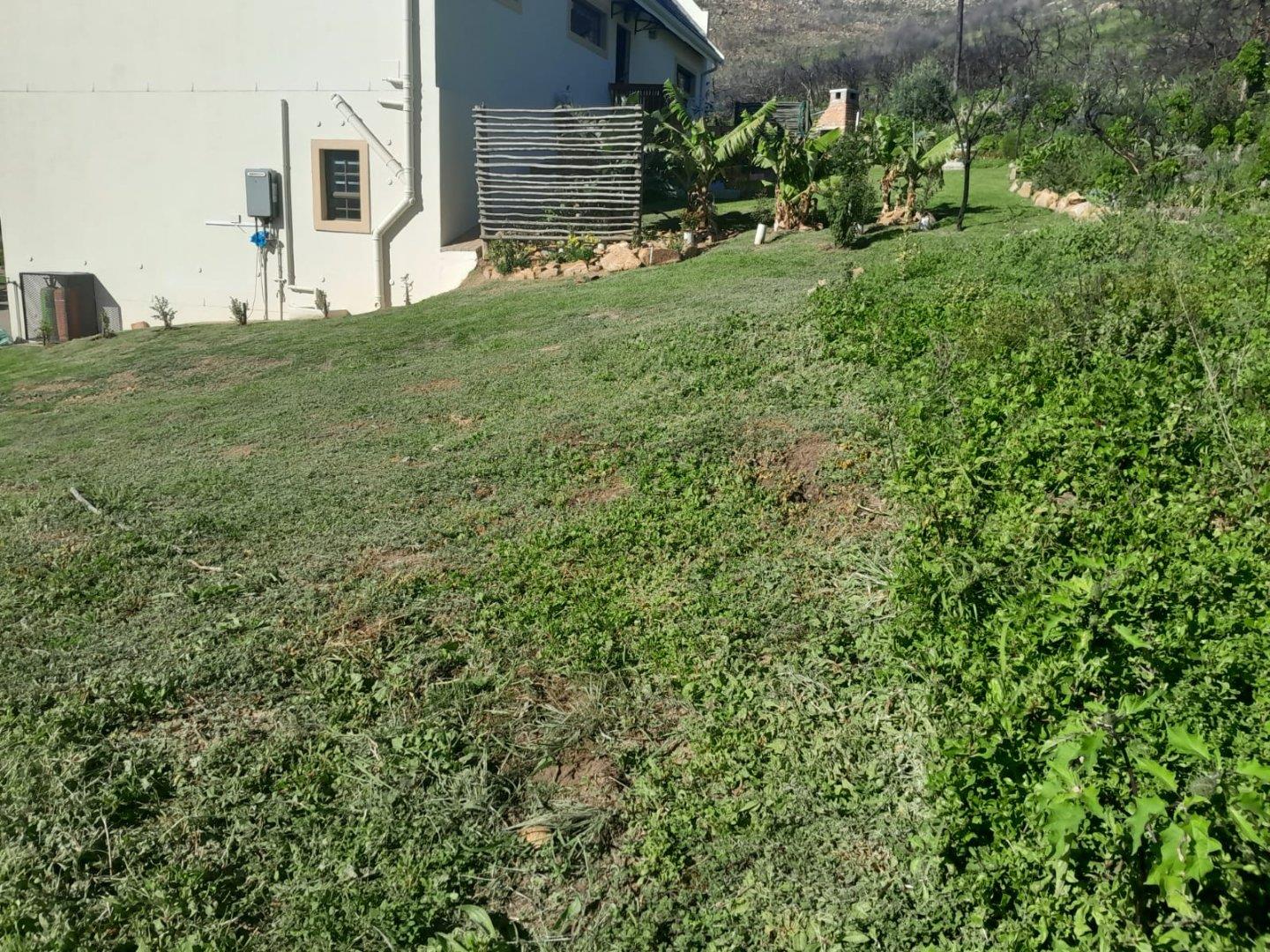 Photo 16 of Vacant Land / Plot for Sale in Vakansieplaas