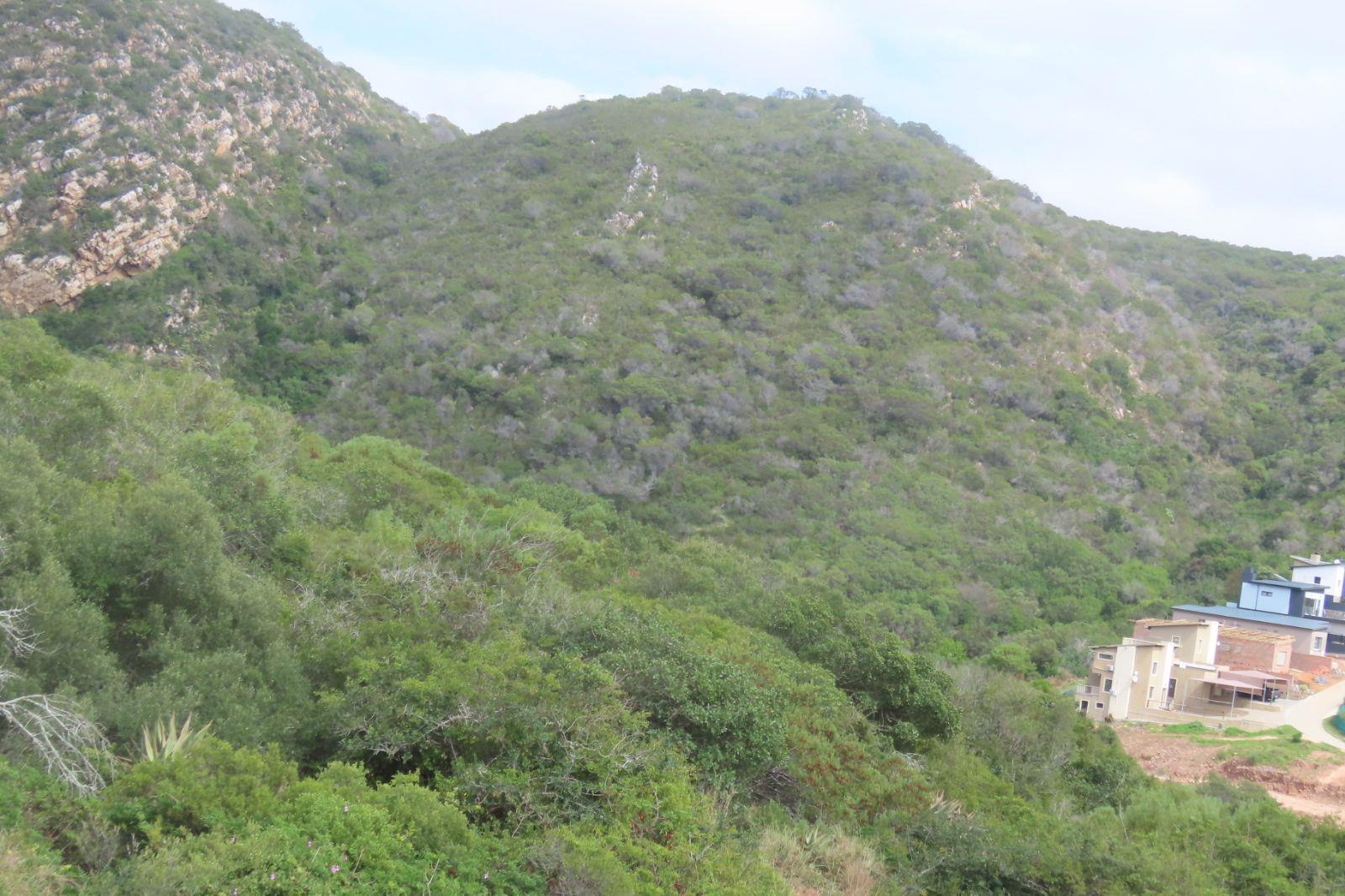 Photo 2 of Vacant Land / Plot for Sale in Vakansieplaas